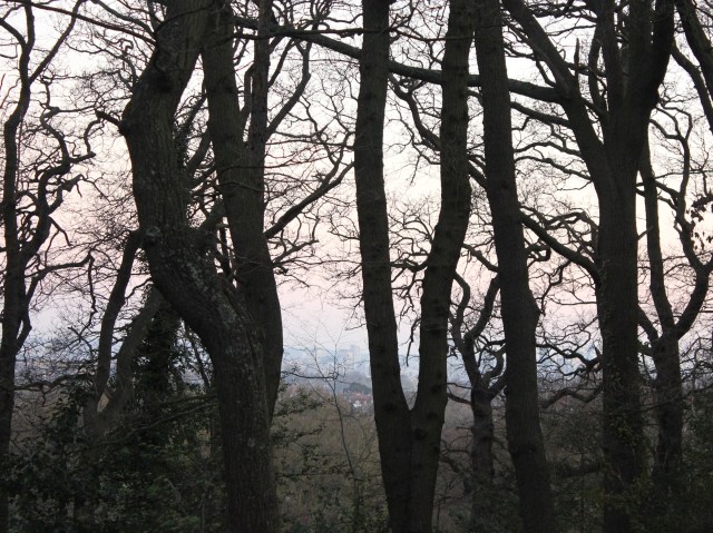 First light SHW 4.4.20